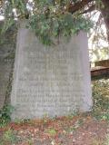 image number FG 371